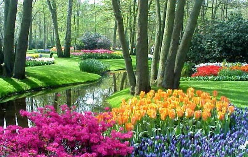 ACT, its best friend COMPASSION, and FEAR